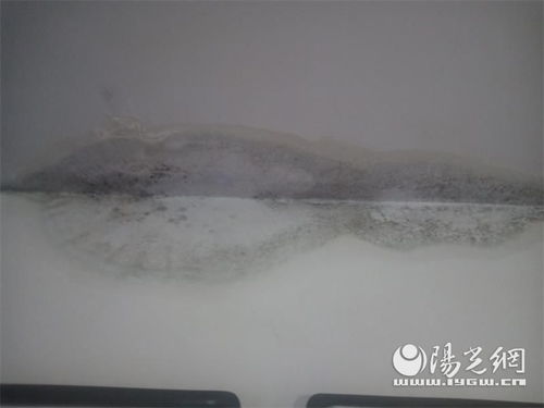 咸陽一小區多棟樓房漏雨