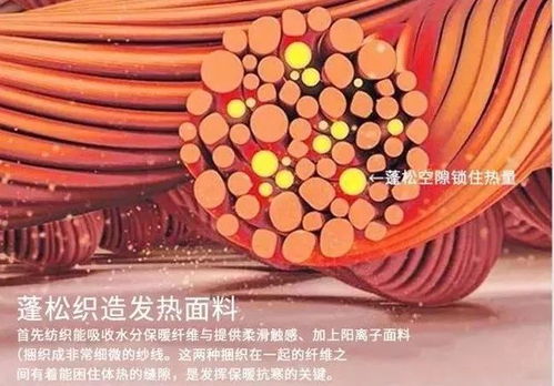 簡單好看的冬季穿搭 顯瘦又高級 時(shí)髦到爆