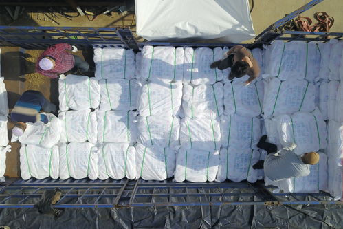 社會 產(chǎn)自扶貧車間的超千噸滌綸縫紉線遠(yuǎn)銷海外